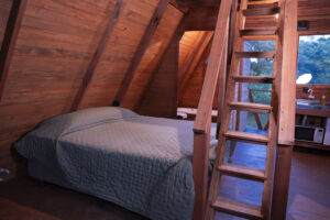 DSC02537-Aprimorado-NR