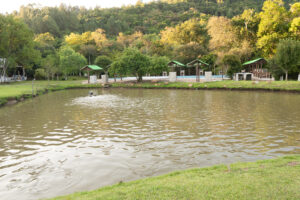 DSC02291-Aprimorado-NR