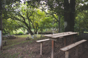 DSC02625-Aprimorado-NR